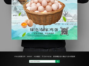 土鸡蛋广告挂画设计 携手软件开发呈现